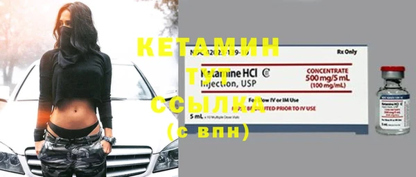 стаф Алексин