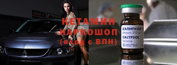 стаф Алексин