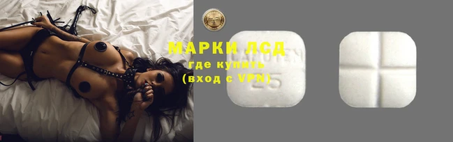 индика Нягань