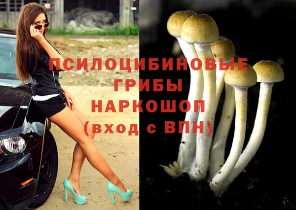 стаф Алексин